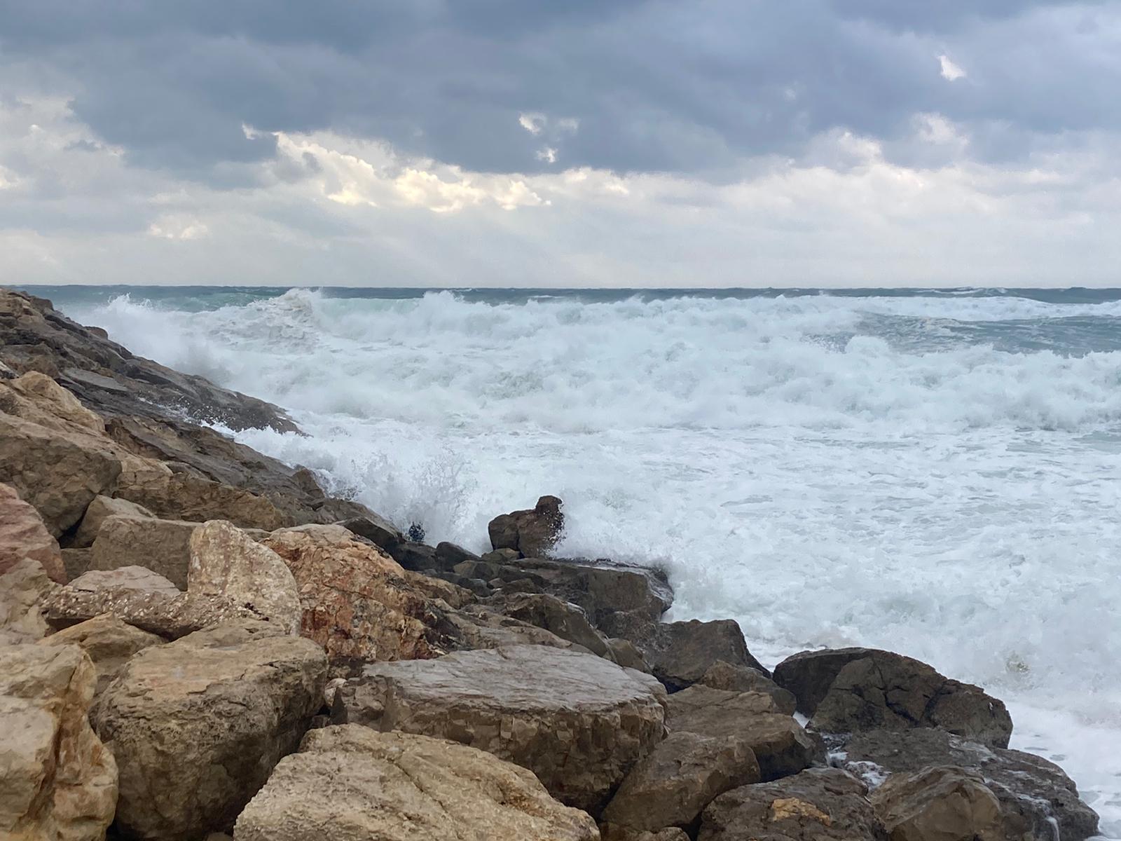 WhatsApp Image 2021-12-20 at 1.58.53 PM (1).jpeg